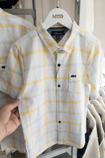 Lacoste Shirt