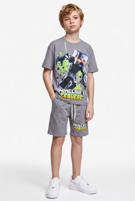 Minecraft Set