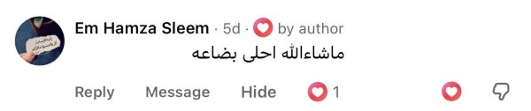 Em Hamza